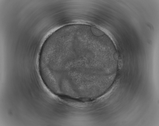 X0000113020995200909241631