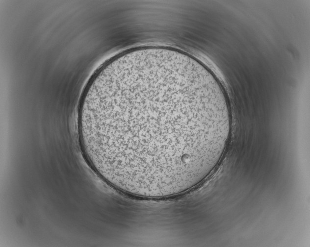 X0000113020996200909241631