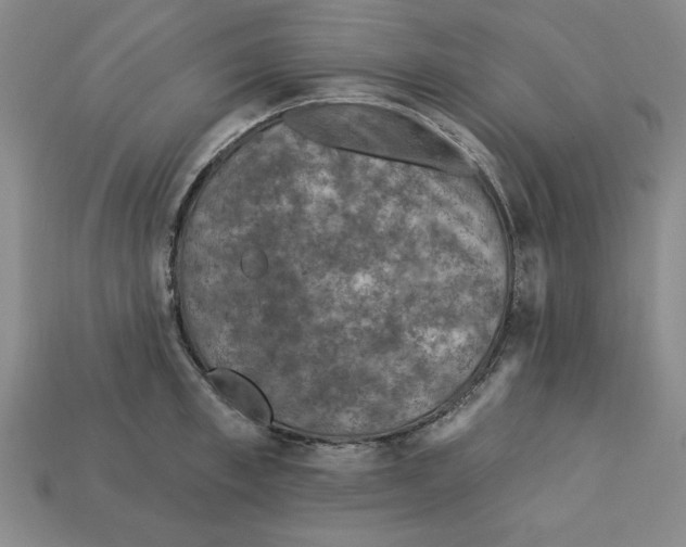 X0000113020997200909241631