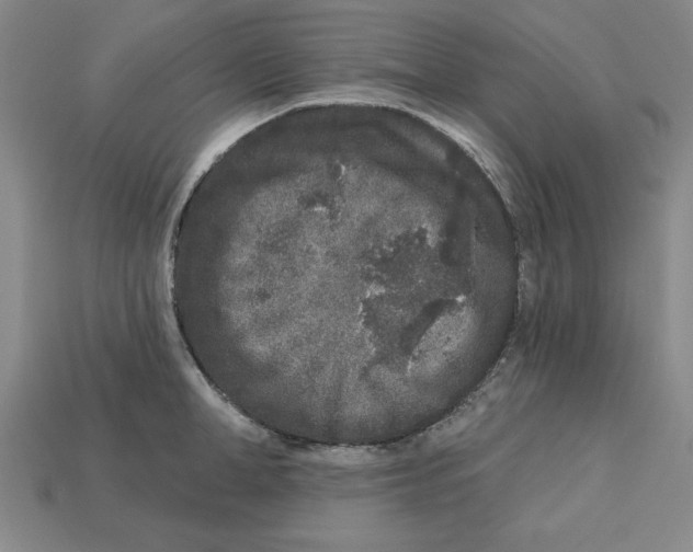 X0000113020998200909241631