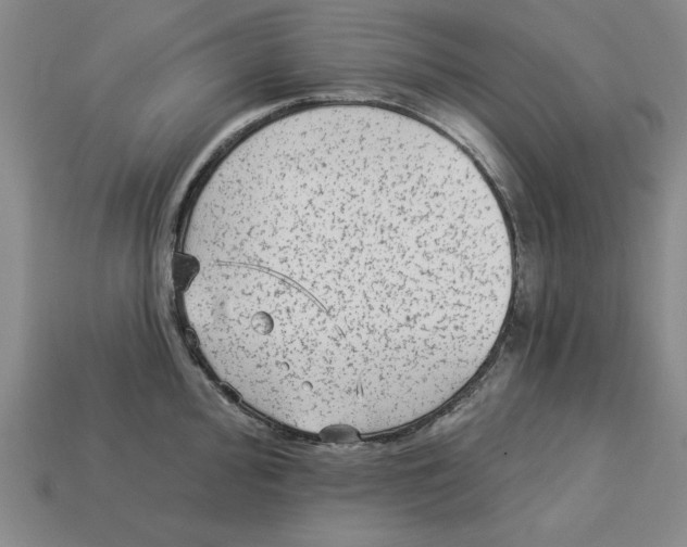 X0000113021000200909241631