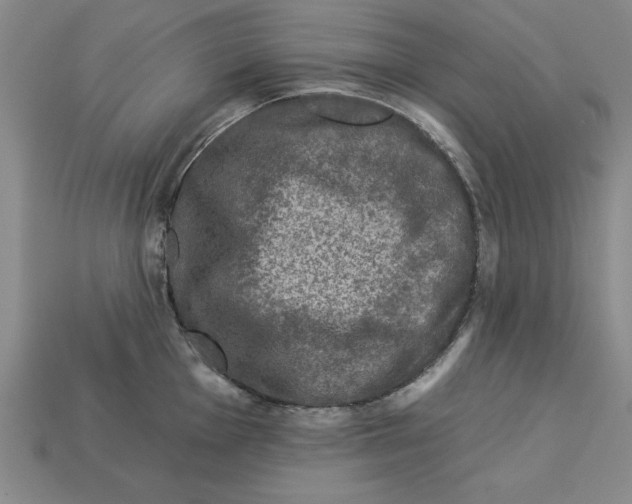 X0000113021001200909241631