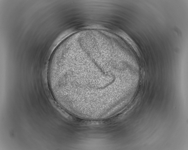 X0000113021002200909241631