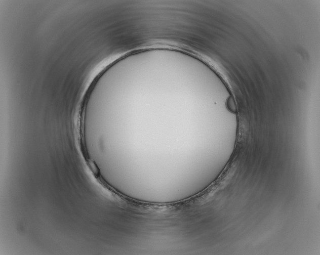 X0000113021003200909241631