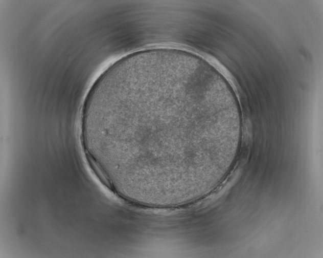 X0000113021005200909241631