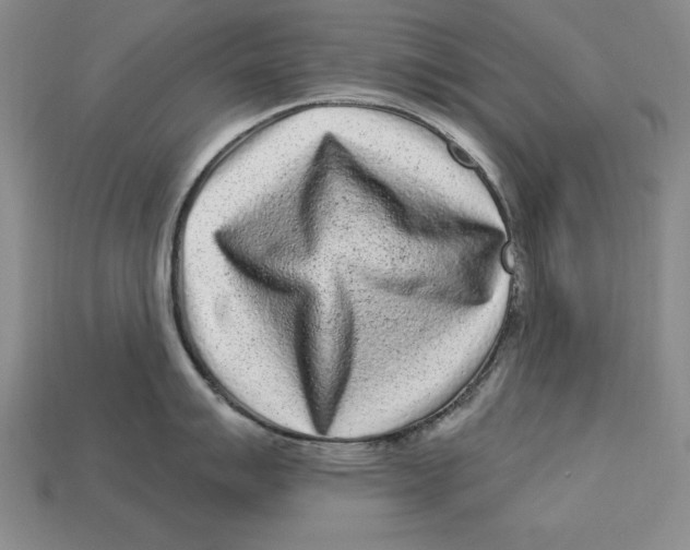 X0000113021007200909241631