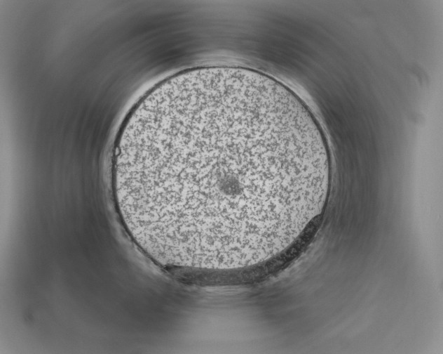 X0000113021008200909241631