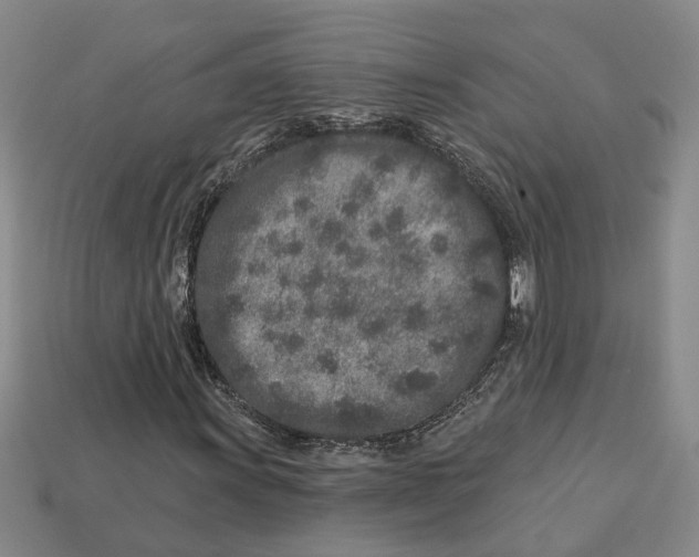 X0000113021011200909241630