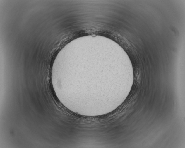 X0000113021012200909241630