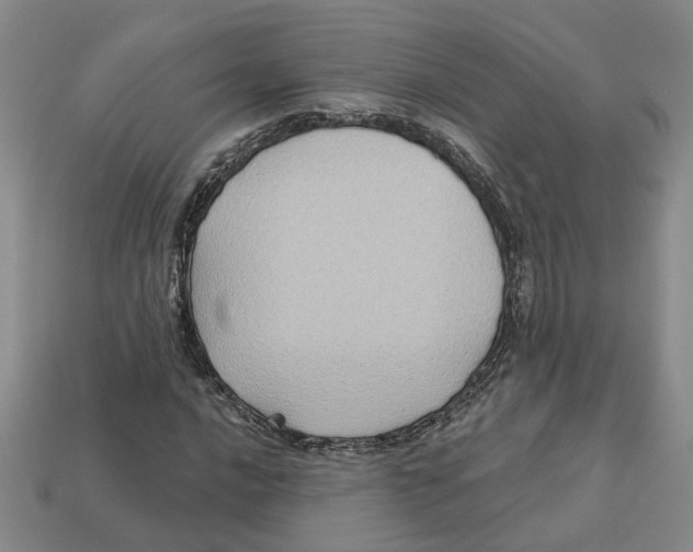 X0000113021016200909241630