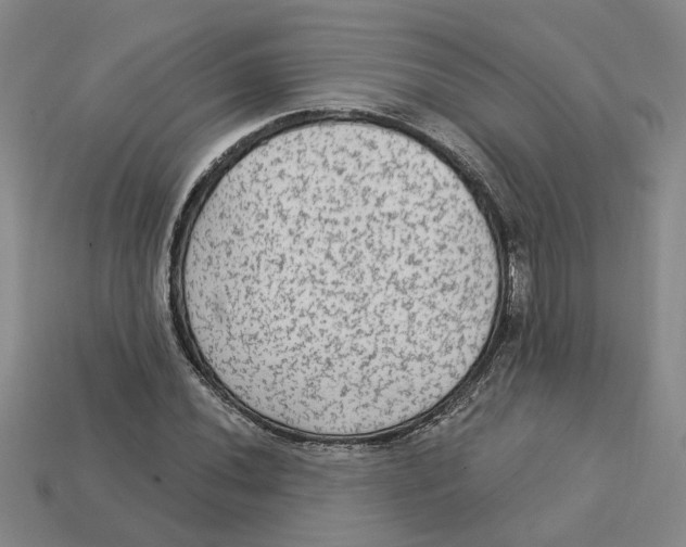 X0000113021020200909241630