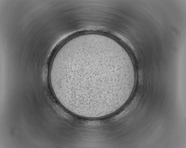 X0000113021021200909241630