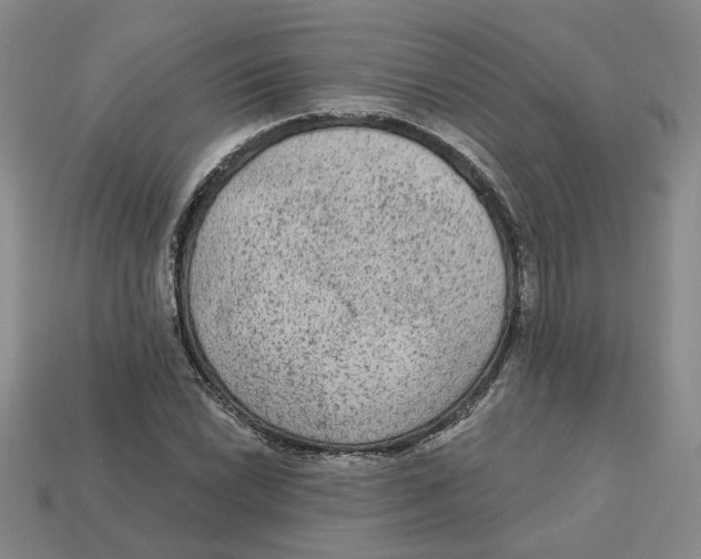 X0000113021022200909241630