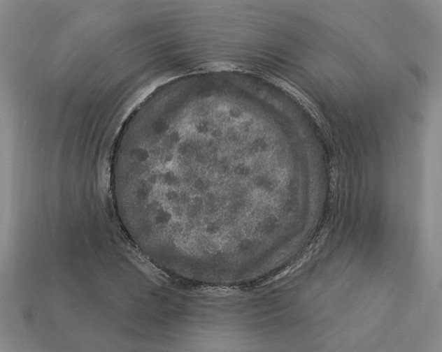 X0000113021023200909241630