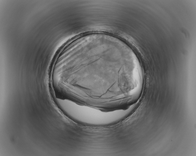 X0000113021024200909241630