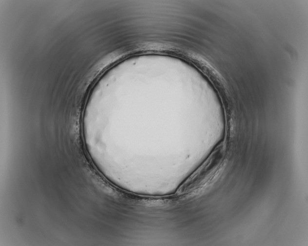 X0000113021025200909241630