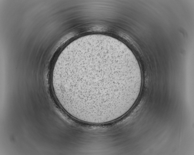 X0000113021026200909241630