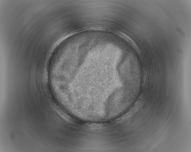 X0000113021027200909241630