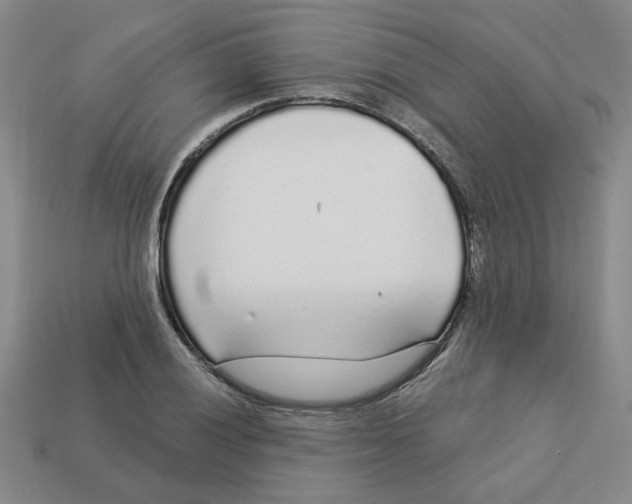 X0000113021028200909241630