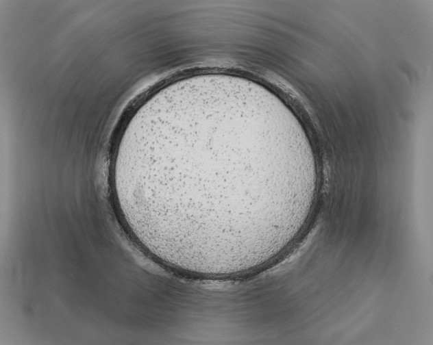 X0000113021029200909241630