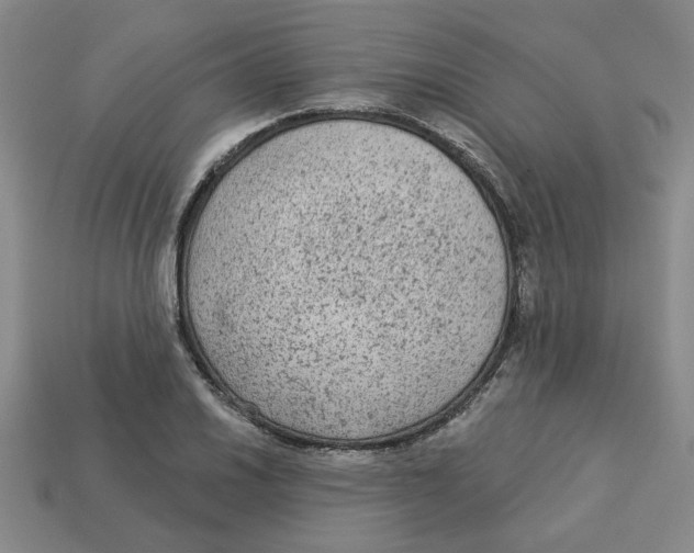 X0000113021030200909241630