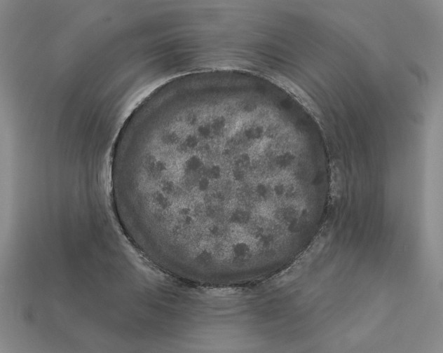 X0000113021031200909241630