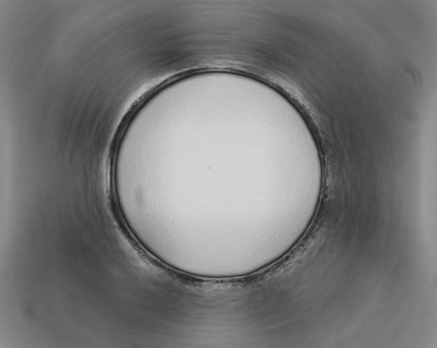 X0000113021032200909241630