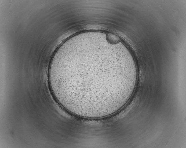 X0000113021033200909241630