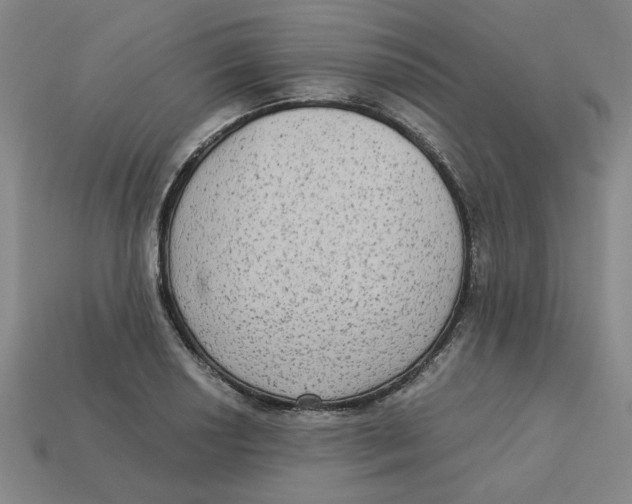 X0000113021034200909241630