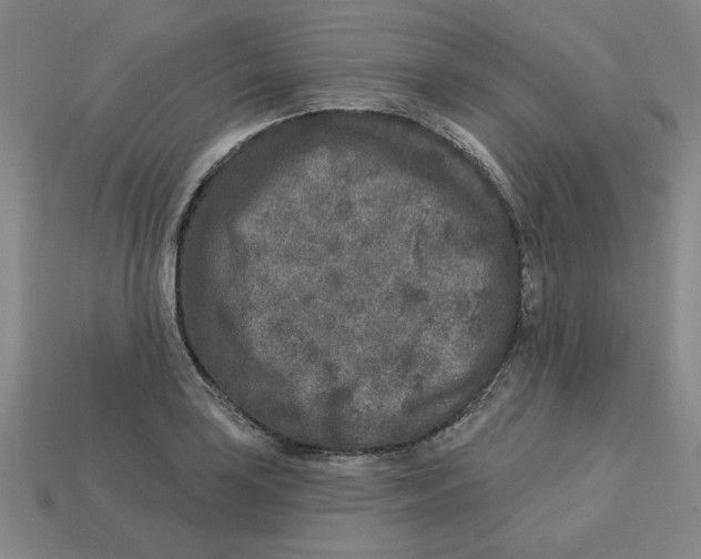 X0000113021035200909241630