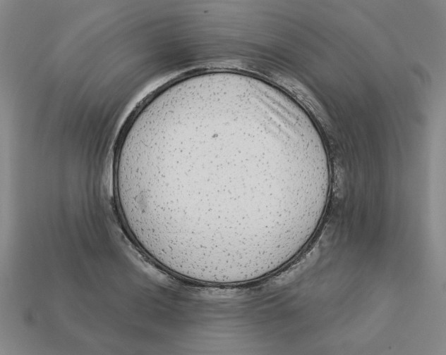 X0000113021036200909241630