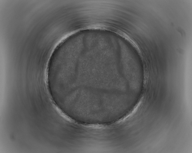 X0000113021037200909241631