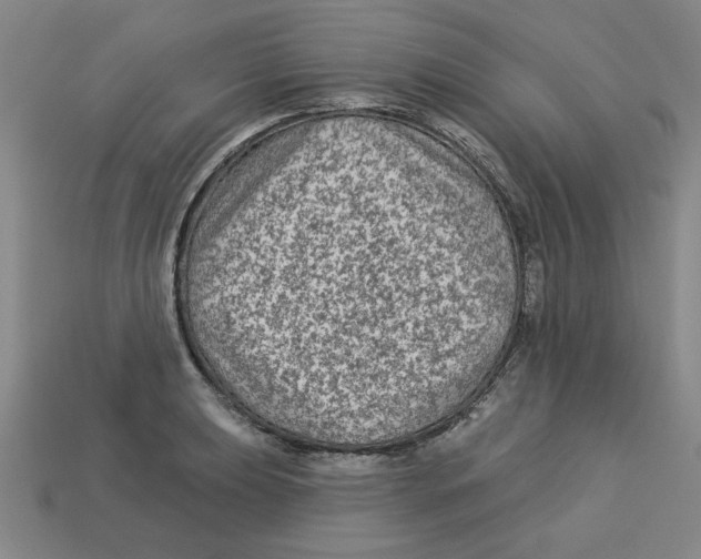 X0000113021039200909241631