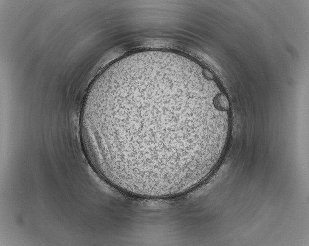 X0000113021041200909241631