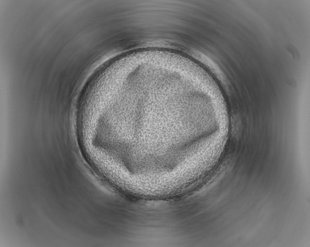 X0000113021043200909241631