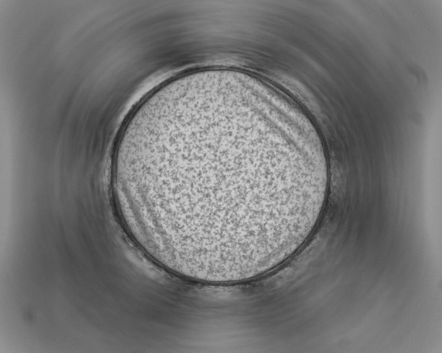 X0000113021044200909241631