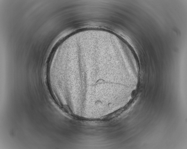 X0000113021045200909241631