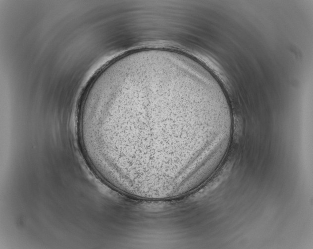 X0000113021046200909241631