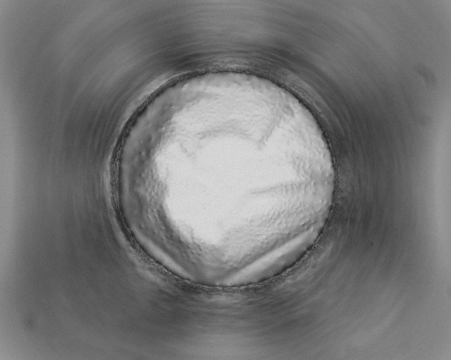 X0000113021047200909241631