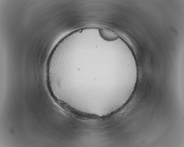 X0000113021048200909241631