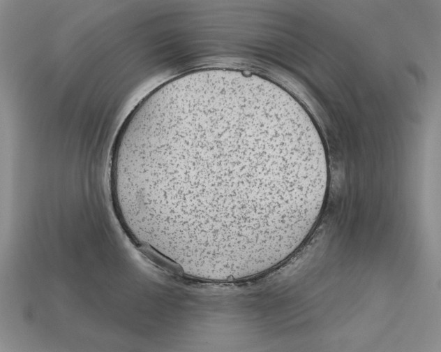 X0000113021050200909241631