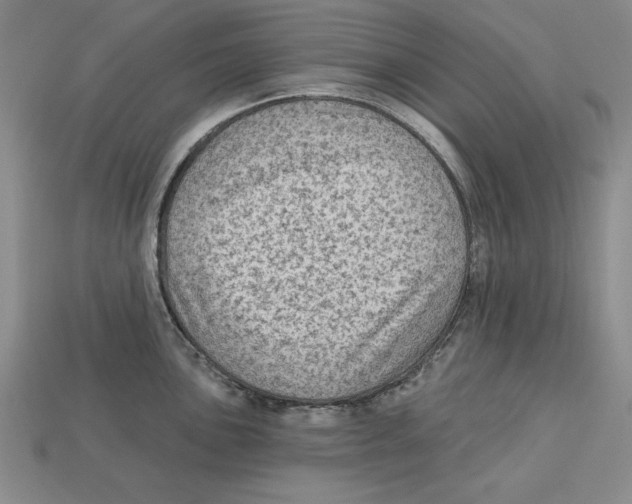 X0000113021051200909241631