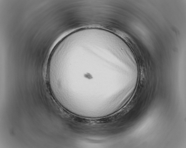 X0000113021052200909241631