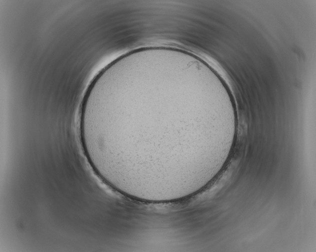 X0000113021053200909241631