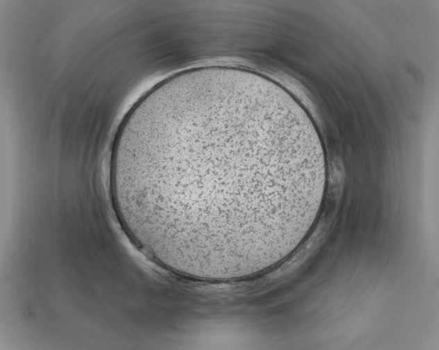 X0000113021054200909241631