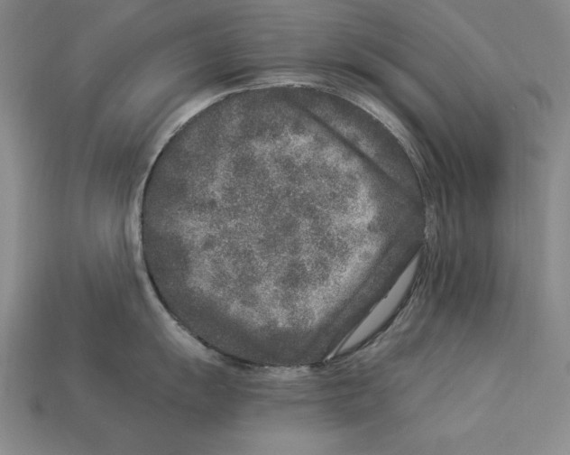 X0000113021055200909241631