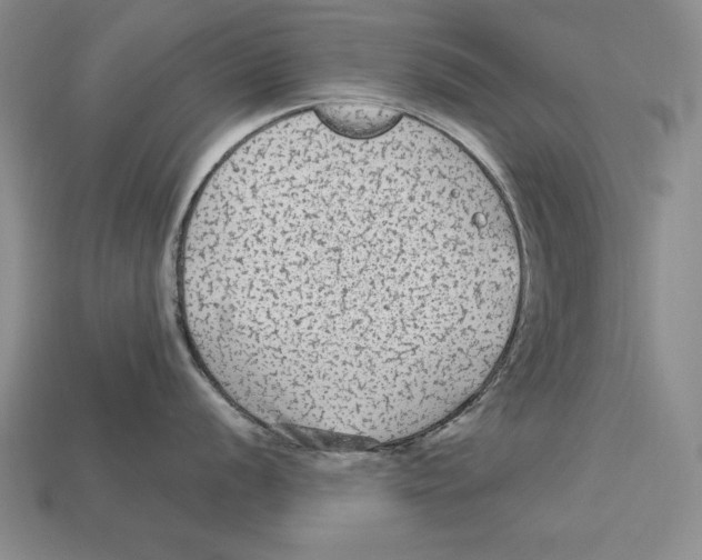 X0000113021056200909241631