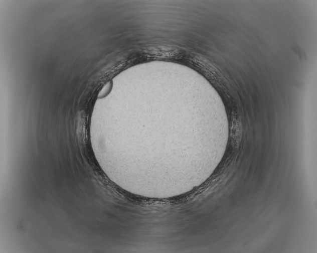 X0000113021058200909241630