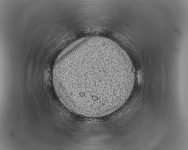 X0000113021059200909241630