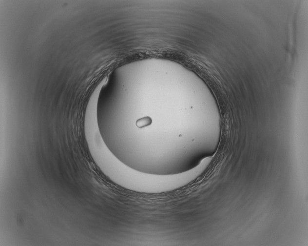 X0000113021060200909241630